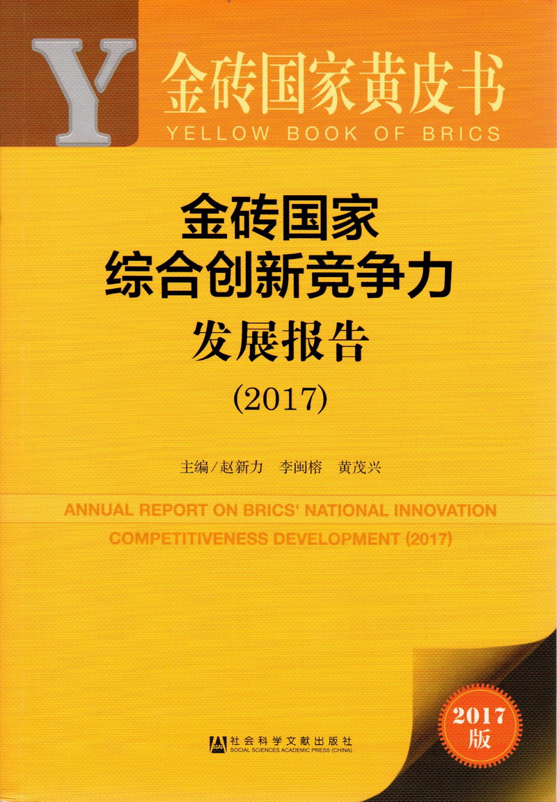 几个大鸡巴操一个骚b出水视频金砖国家综合创新竞争力发展报告（2017）